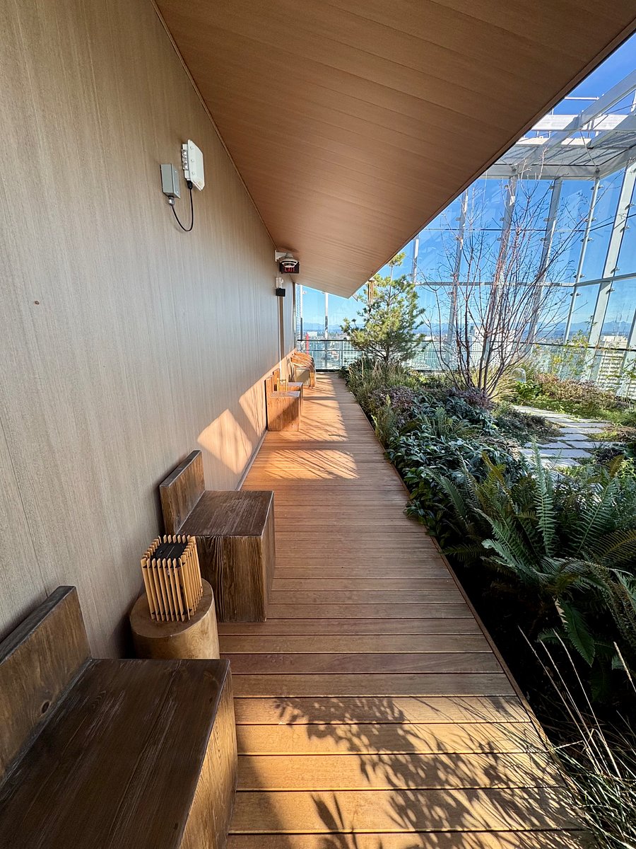 Zen space in concrete jungle