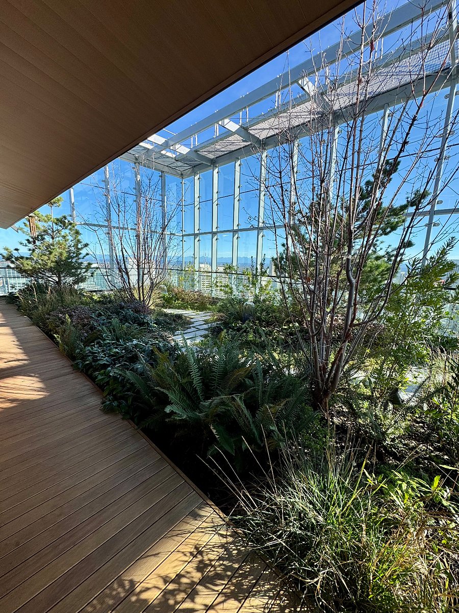 Green space with sounds of waterfall