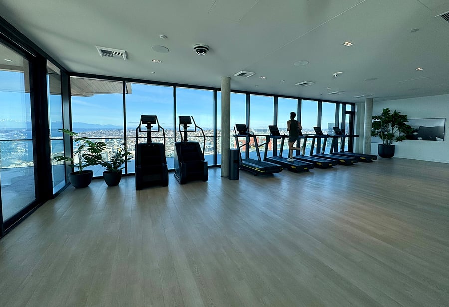 Gym includes high end equipment