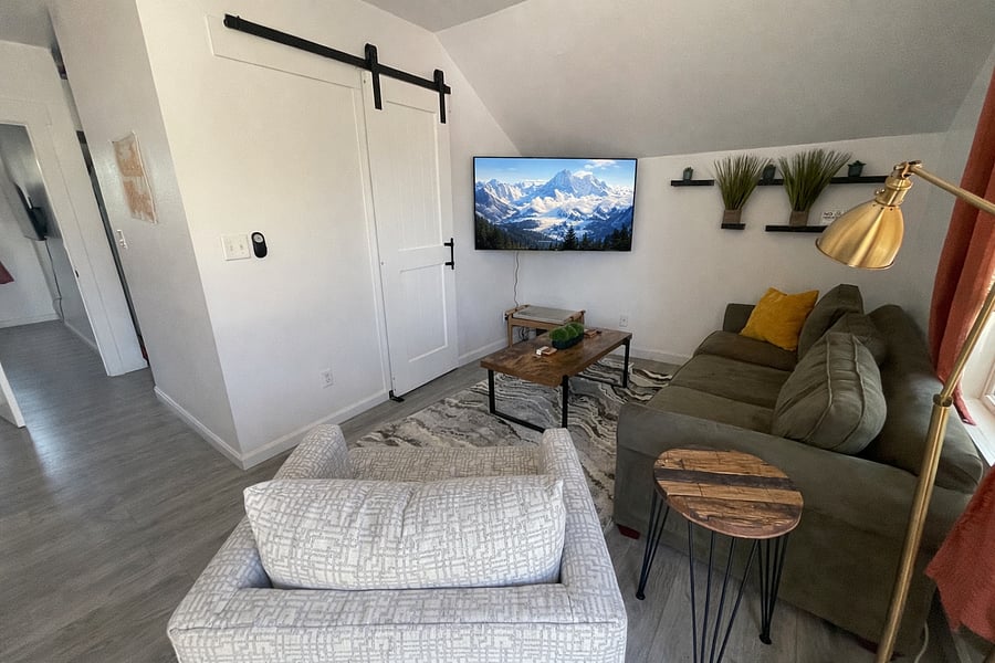 Living Room with TV, Sleeper sofa and swivel chair