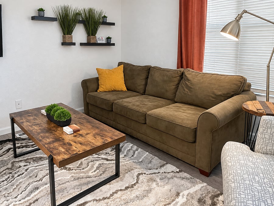Living room with sleeper sofa