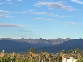 view from front window