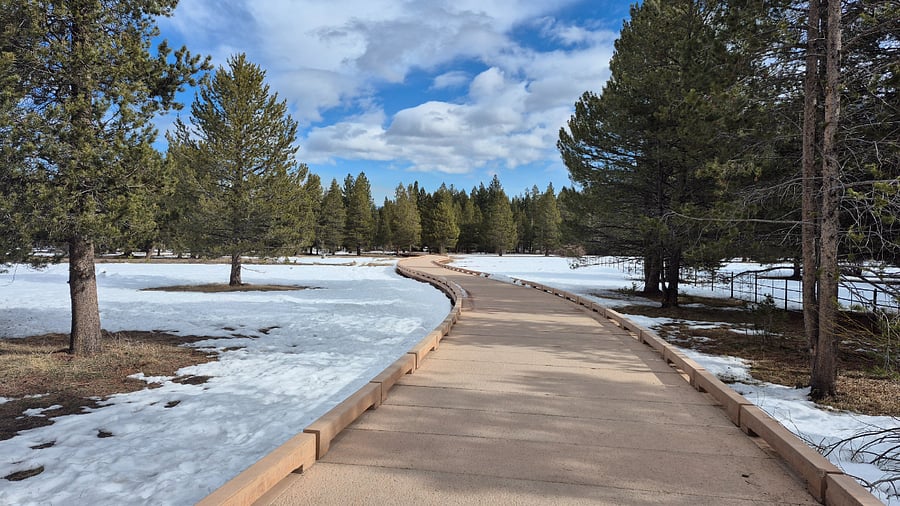Neighborhood walking path to meadow