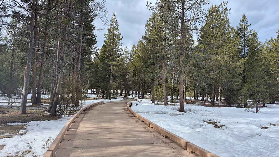 Neighborhood walking path to College