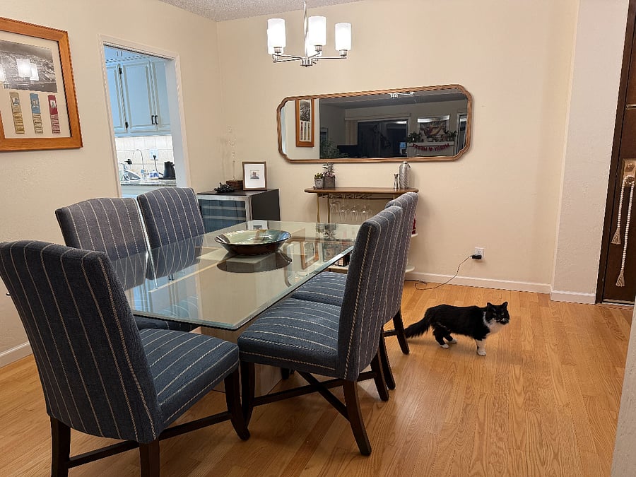 Dinning room & Gizmo, the cat.