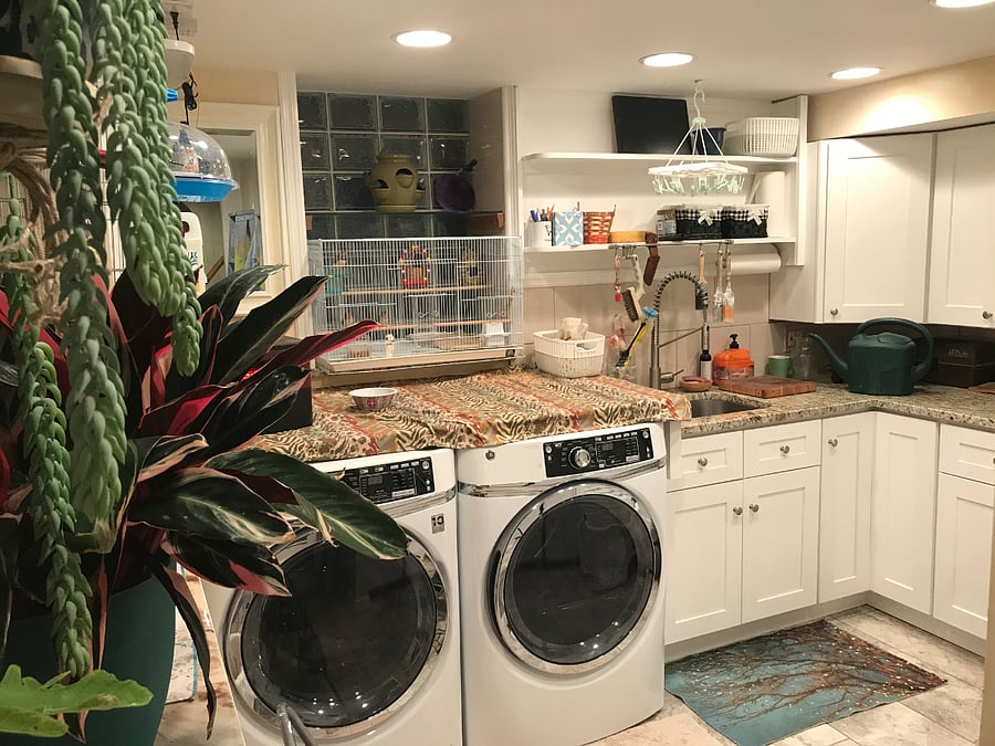 Laundry room is adjacent to the apartment.