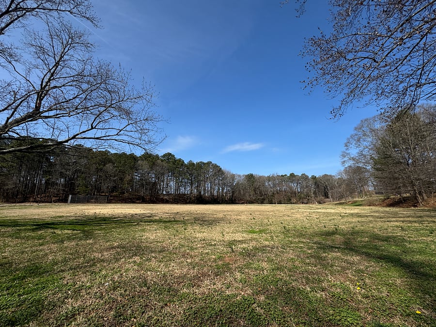 Open park field 