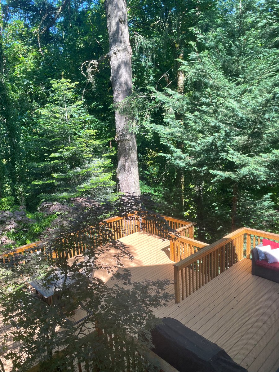 view from both bedrooms.