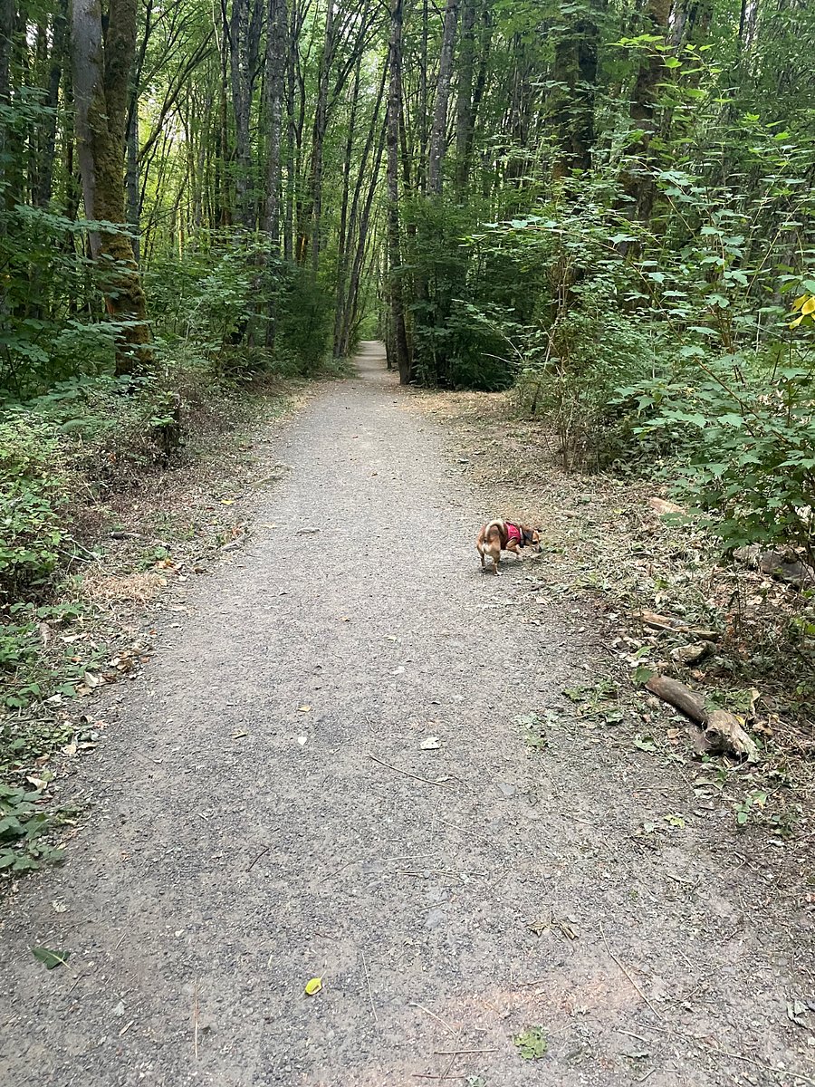 Springbrook Park trails 1/2 a block from the house.