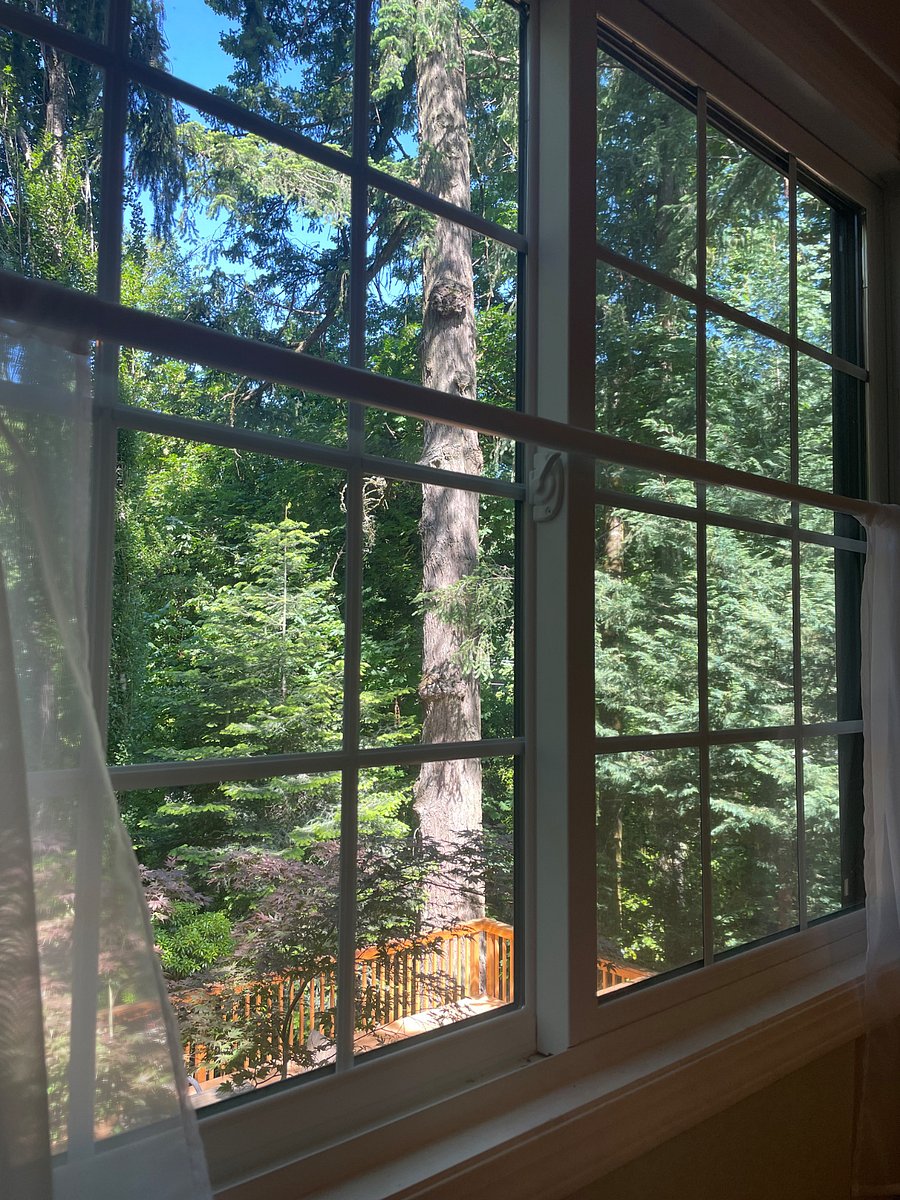 View while lying in bed in bedroom 1.