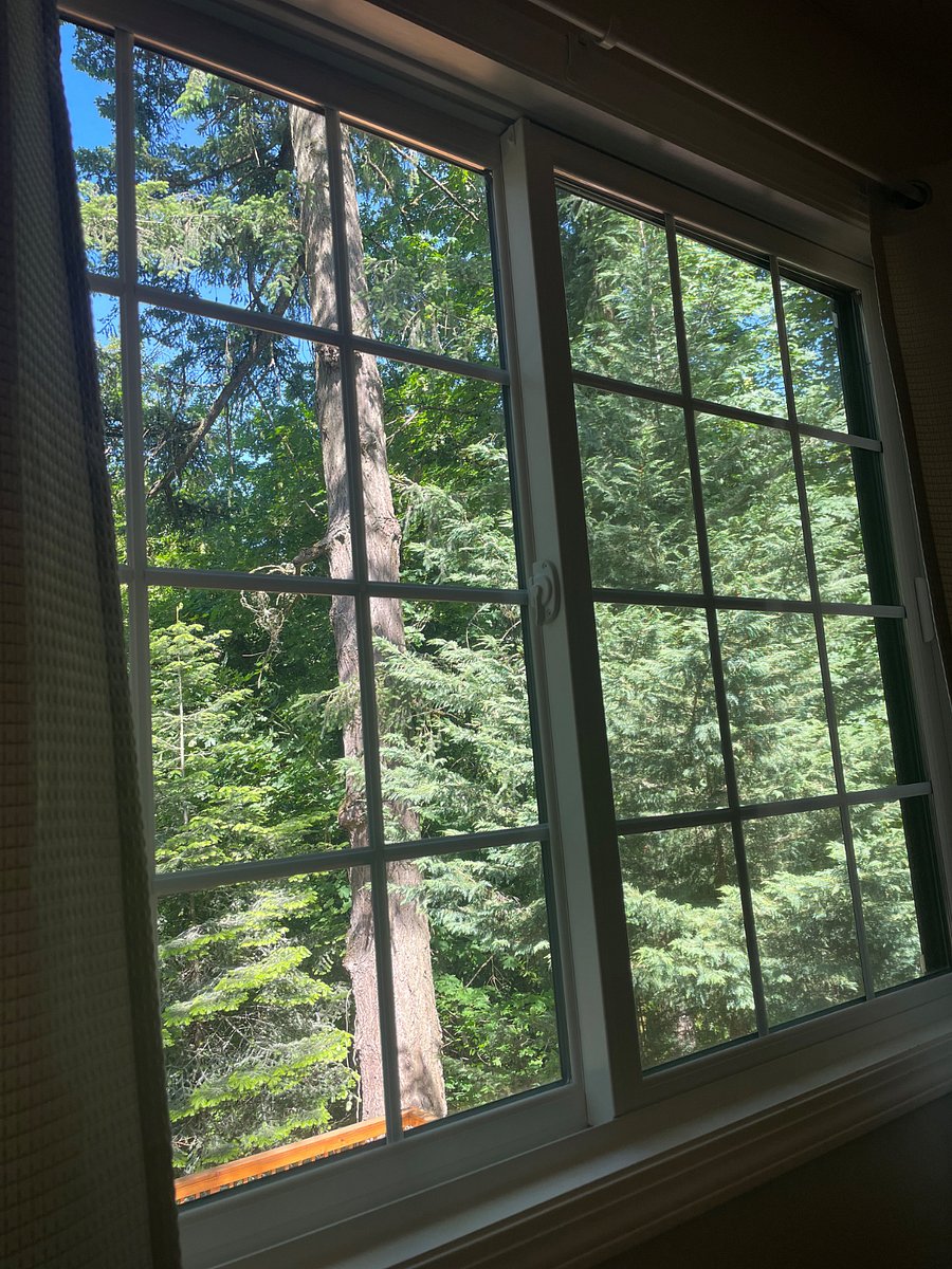 View while lying in bed in bedroom 2.