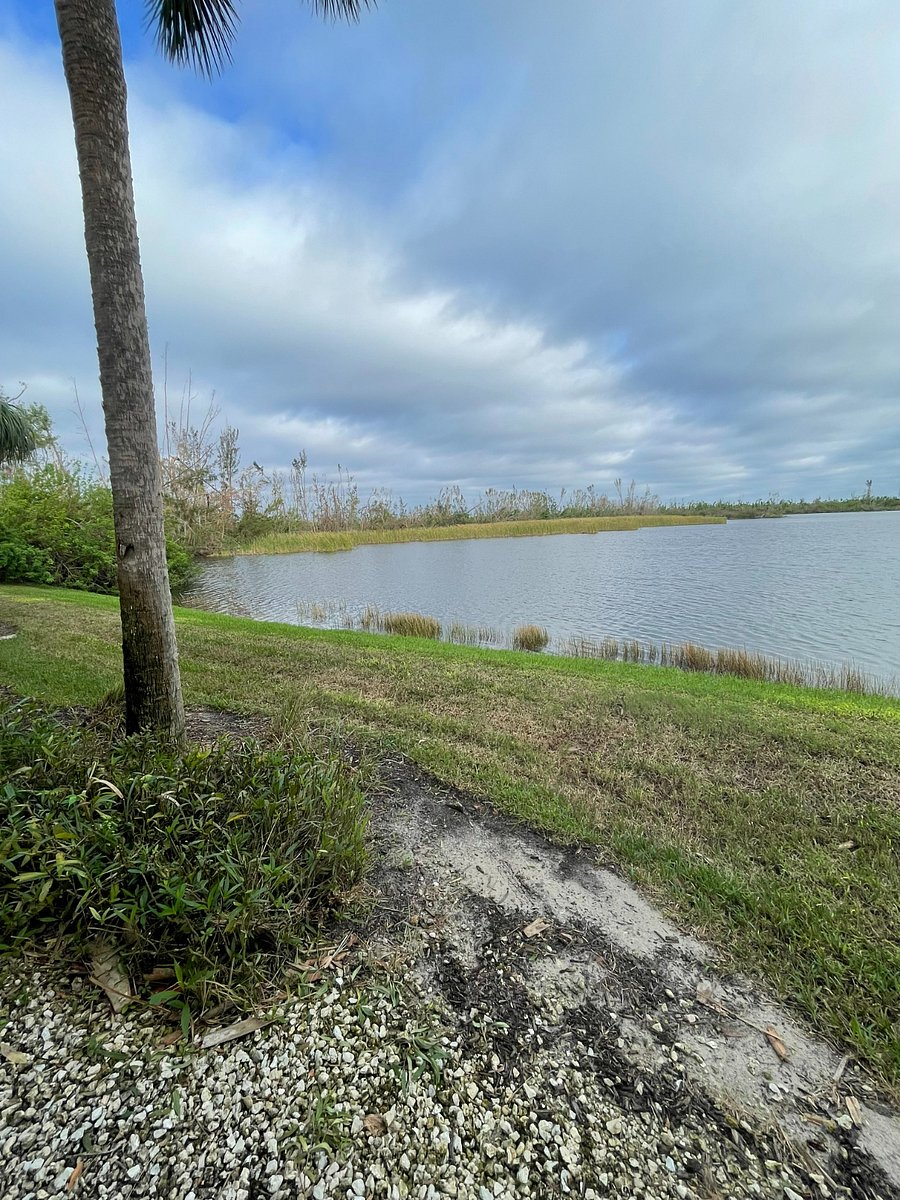 Lake view