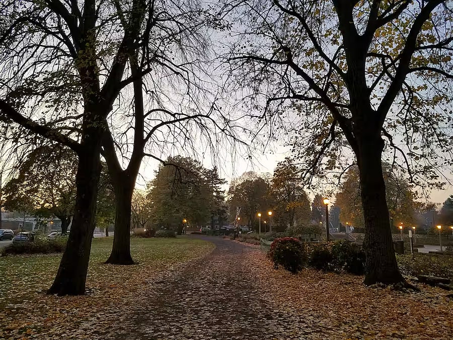 Park in fall