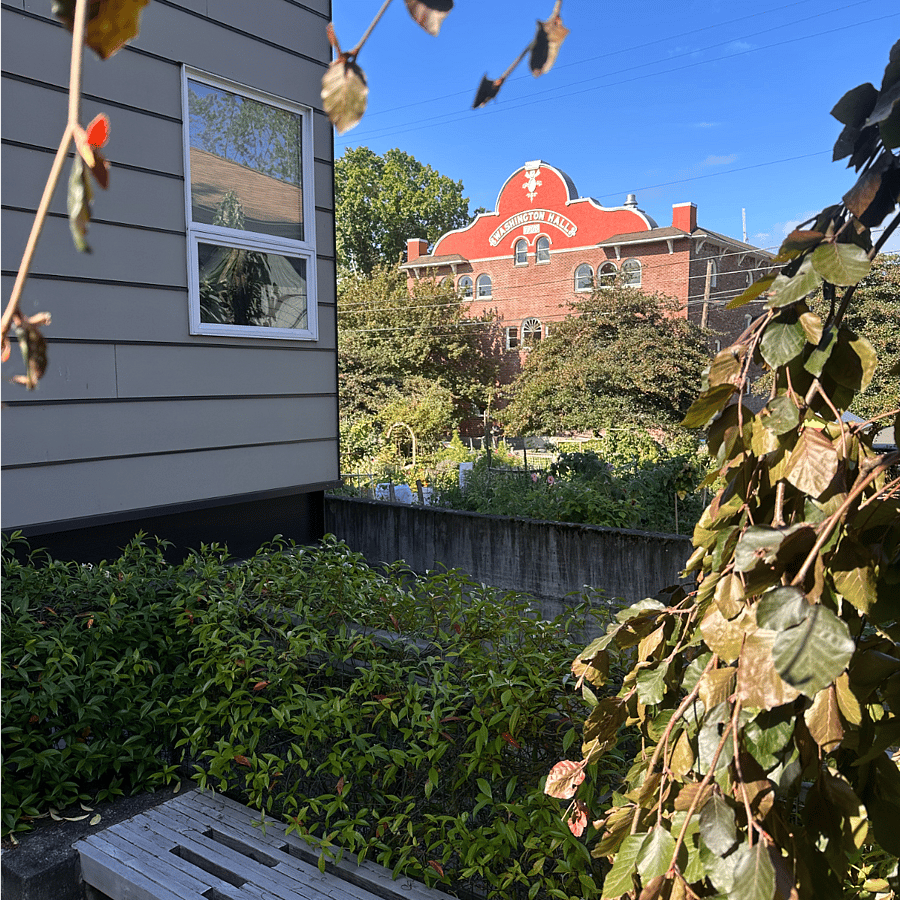 View from lower patio near firepit