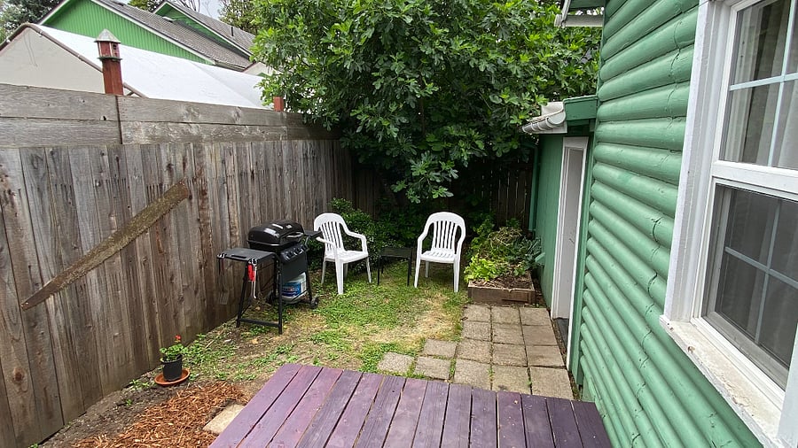 Back Yard