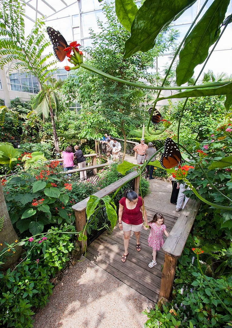 UF's Butterfly Rainforest at Florida Museum of Natural History is scheduled to reopen in late 2026.