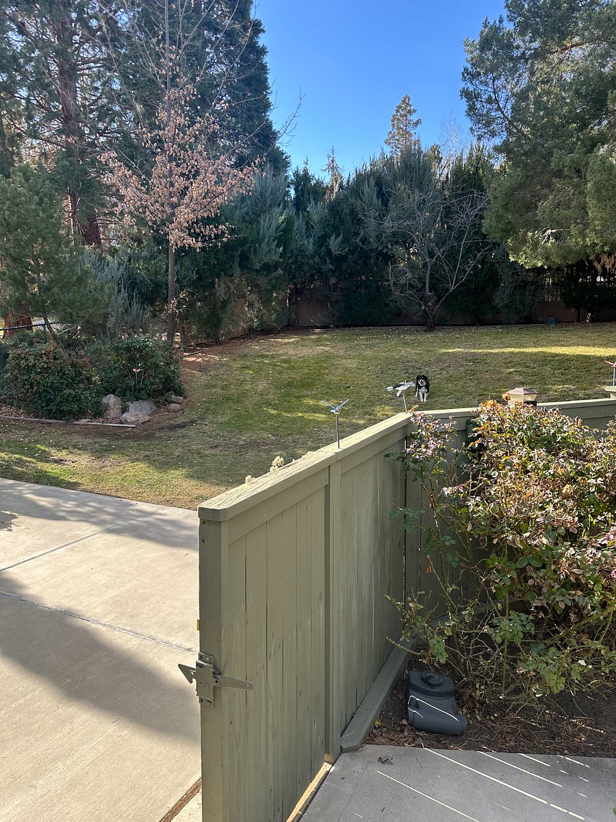 Private, expansive backyard with shade and trees. An enclosed grotto area with paved surface also available to enjoy your meals or a cocktail outside.