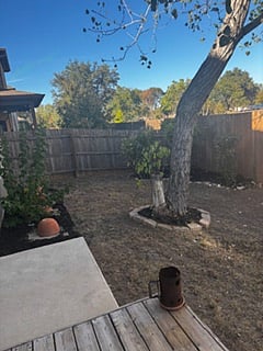 Backyard