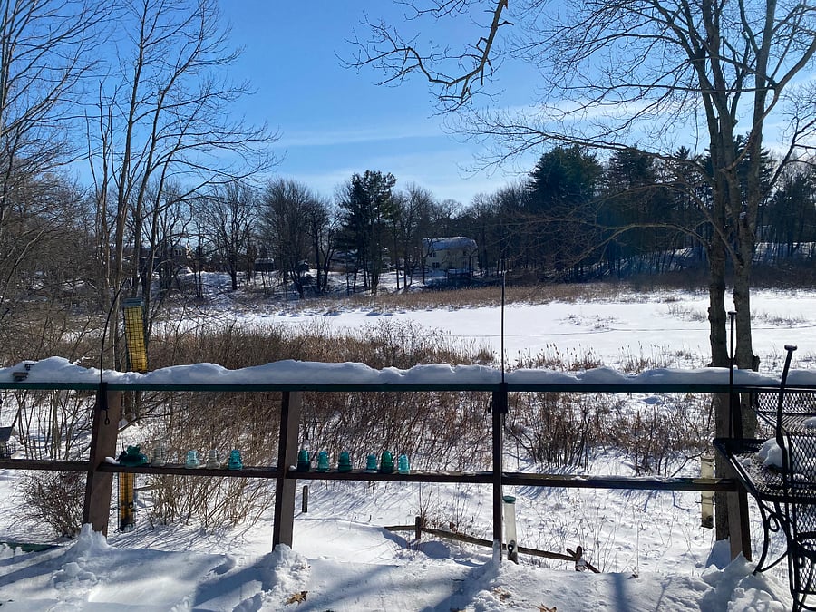 View from deck