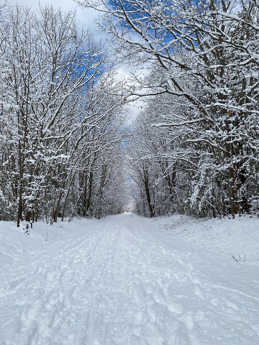 Rail trail, 5 min walk from house