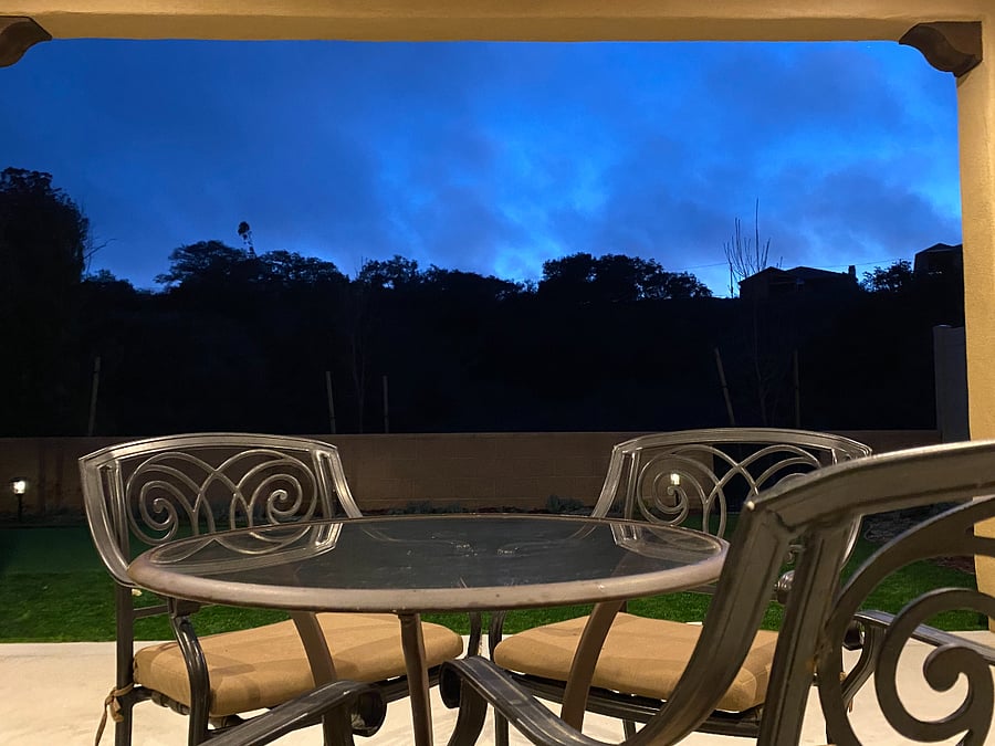Dusk over the oak trees