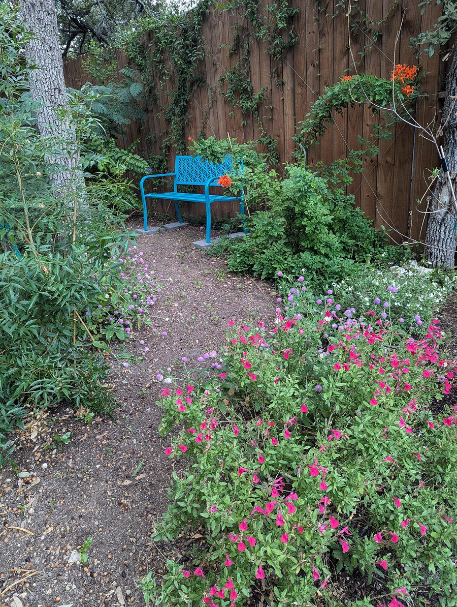 Have a seat on the secluded bench and enjoy the butterflies.