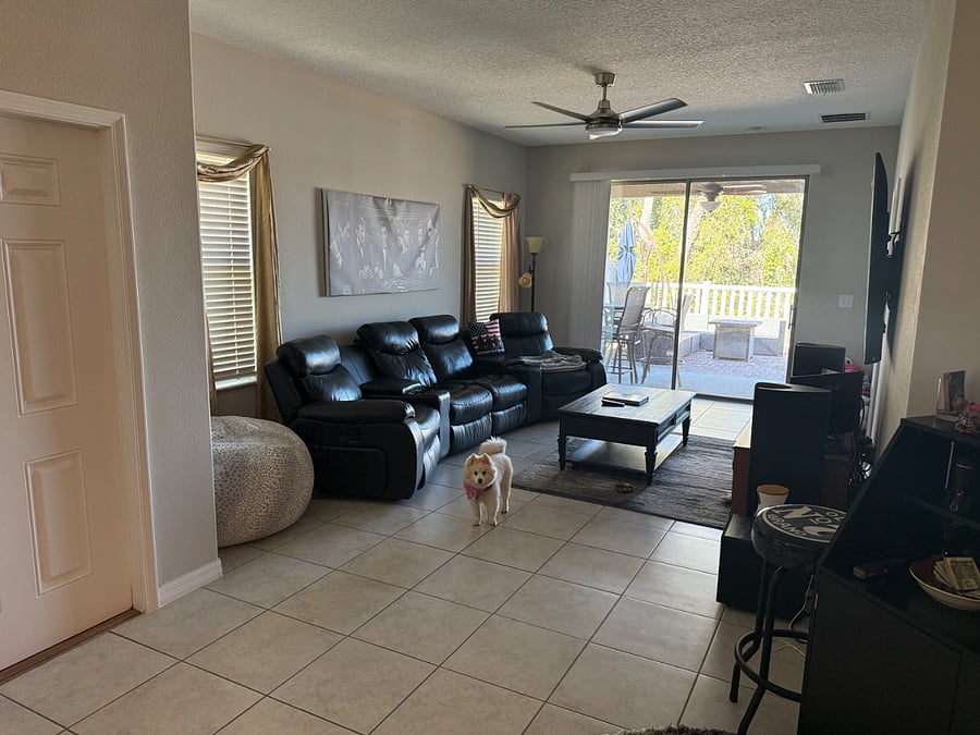 Living room (owners pup)