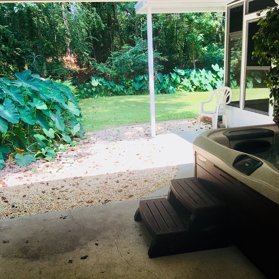 View out back