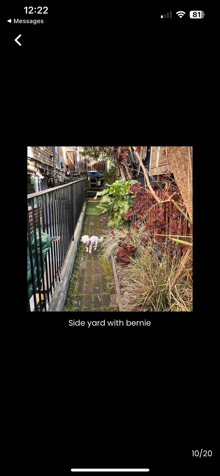Side yard