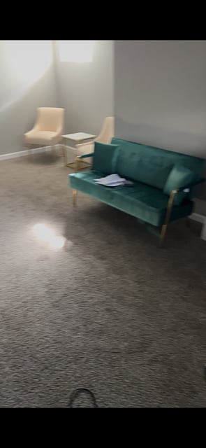 Lower level living room