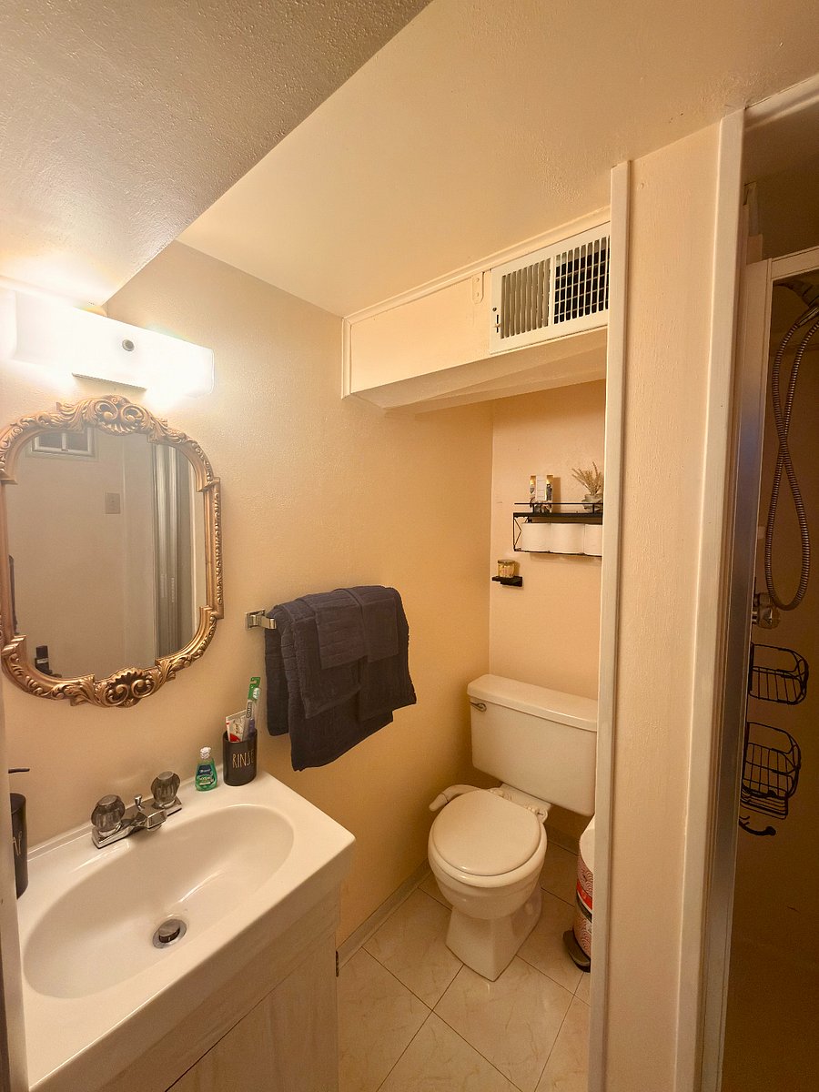 Bathroom with shower in lower level