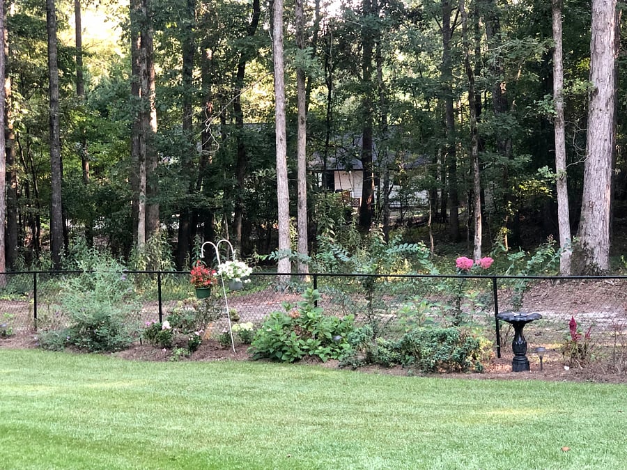 Enjoy relaxing in a beautiful yard