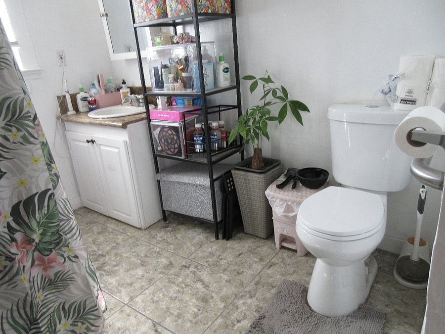 Shared bathroom. Pictured is toilet and sink. Not pictured but just out of frame on the left (note the curtain) is the shower and tub. Admittedly a suboptimal photo; better photos will be posted shortly.