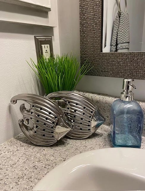 Main bathroom counter & sink