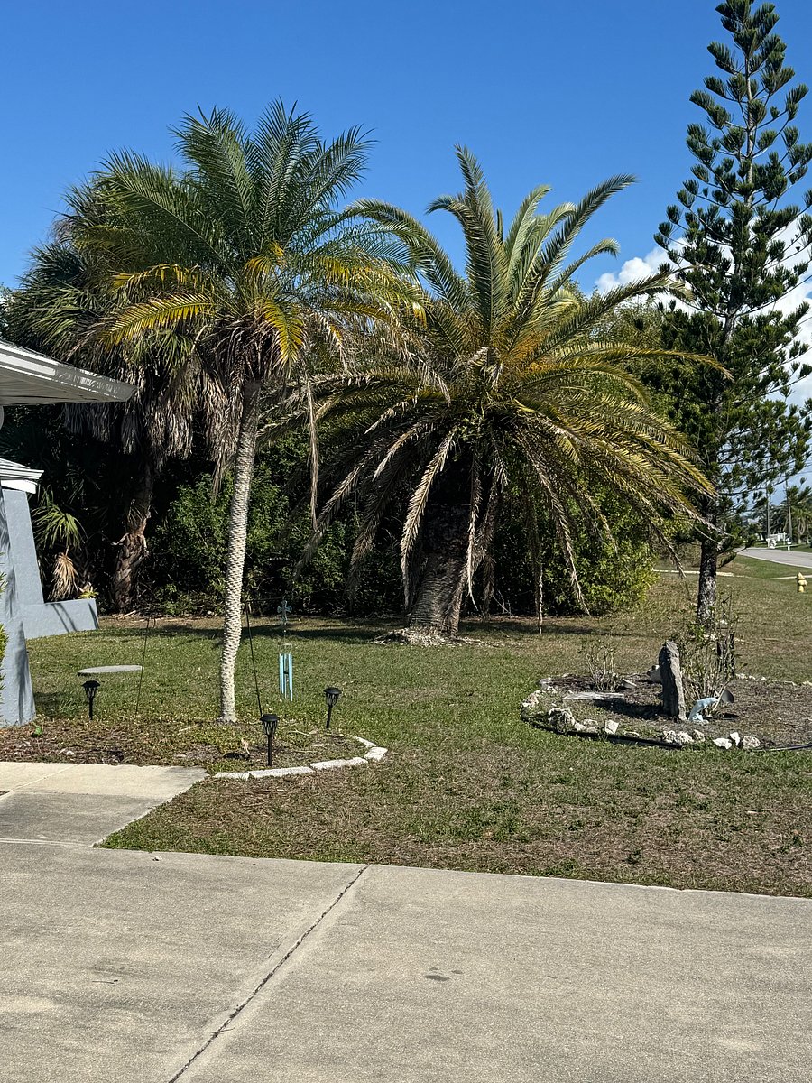 Front yard