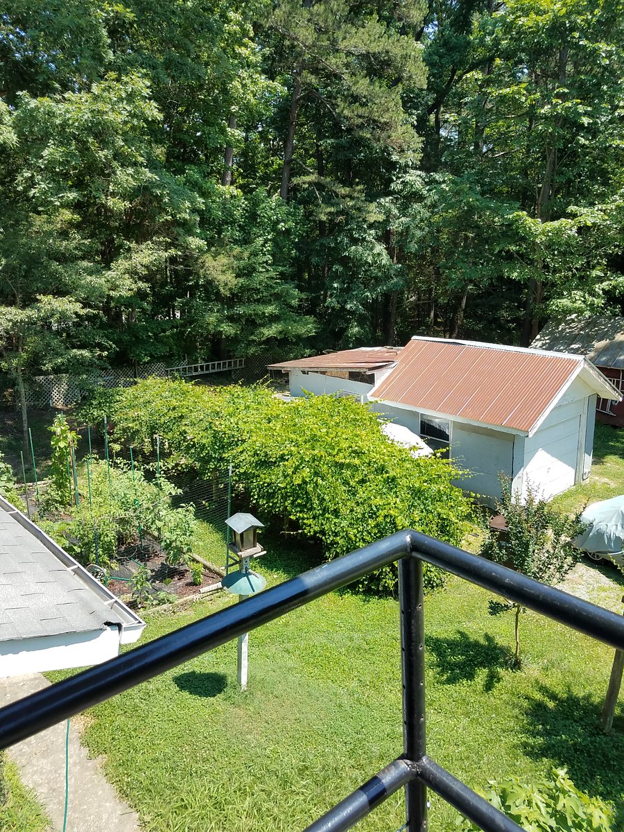 View from the balcony going into the unit.