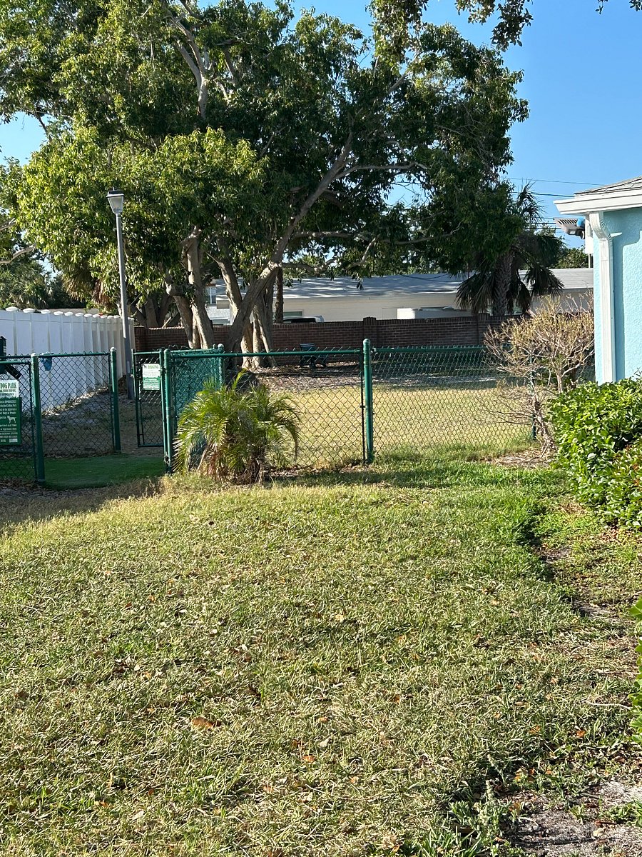 Dog Park