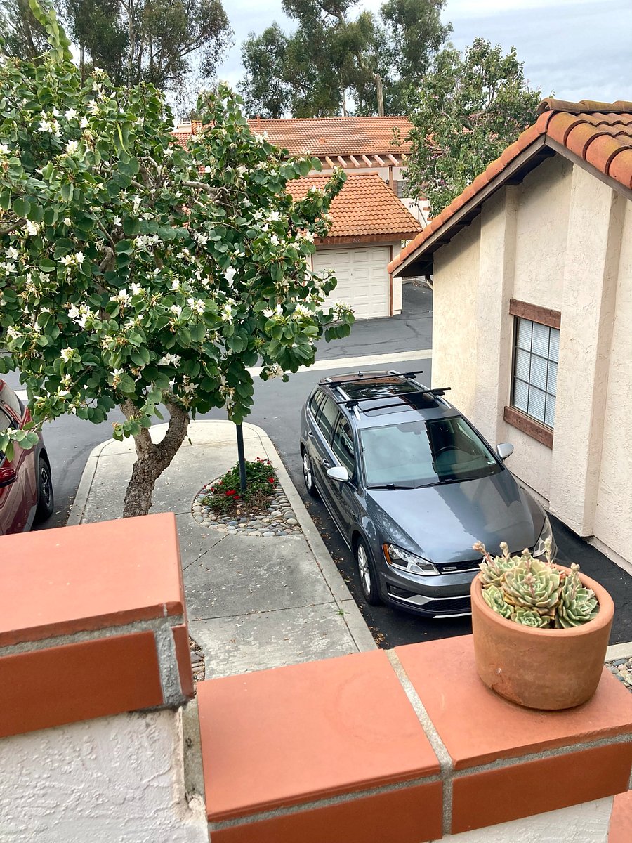 Parking in front