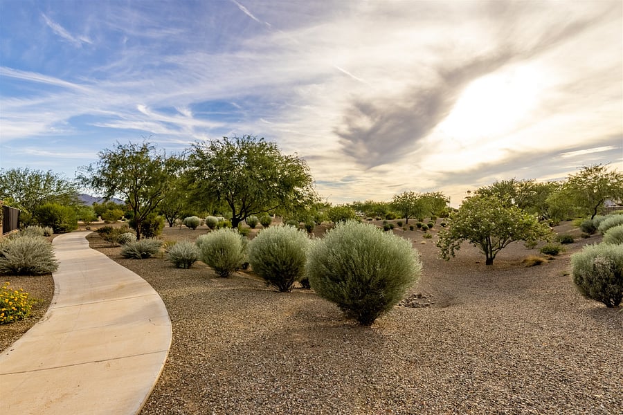The community is connected by miles of walking paths separated from traffic and also can take you to Gilbert Regional Park-- about a 4.5 mile roundtrip. It's easy to cycle to the nearby Starbucks, across from the park.