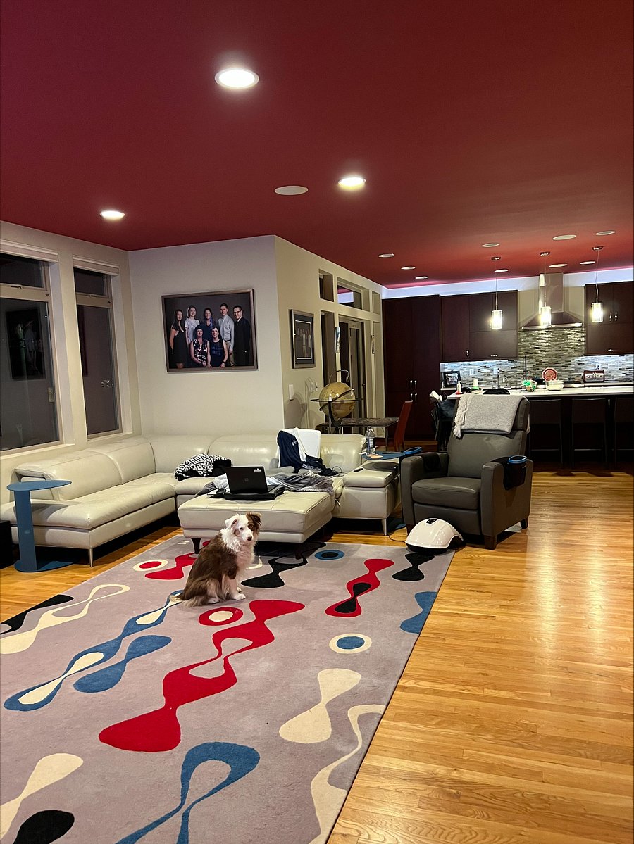 House dog (Cosmo) will not be roaming free. He and the house cat (Jett) live in the Master Suite where the Landlord resides. :-)