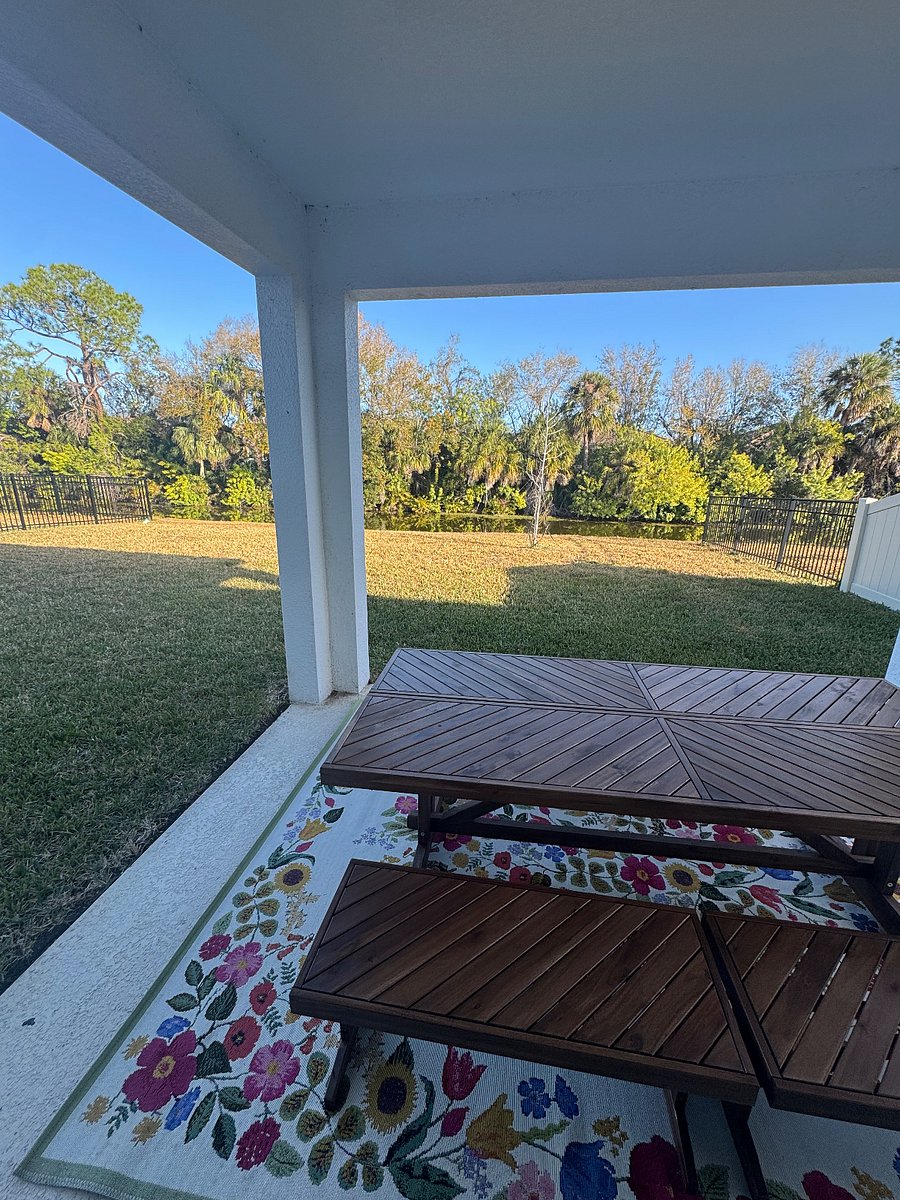 Out back and beautiful birds
