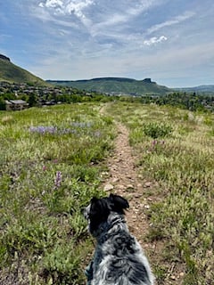 hiking trails nearby