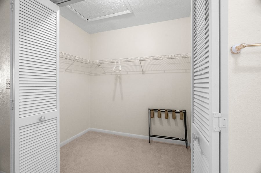 One of two huge closets.