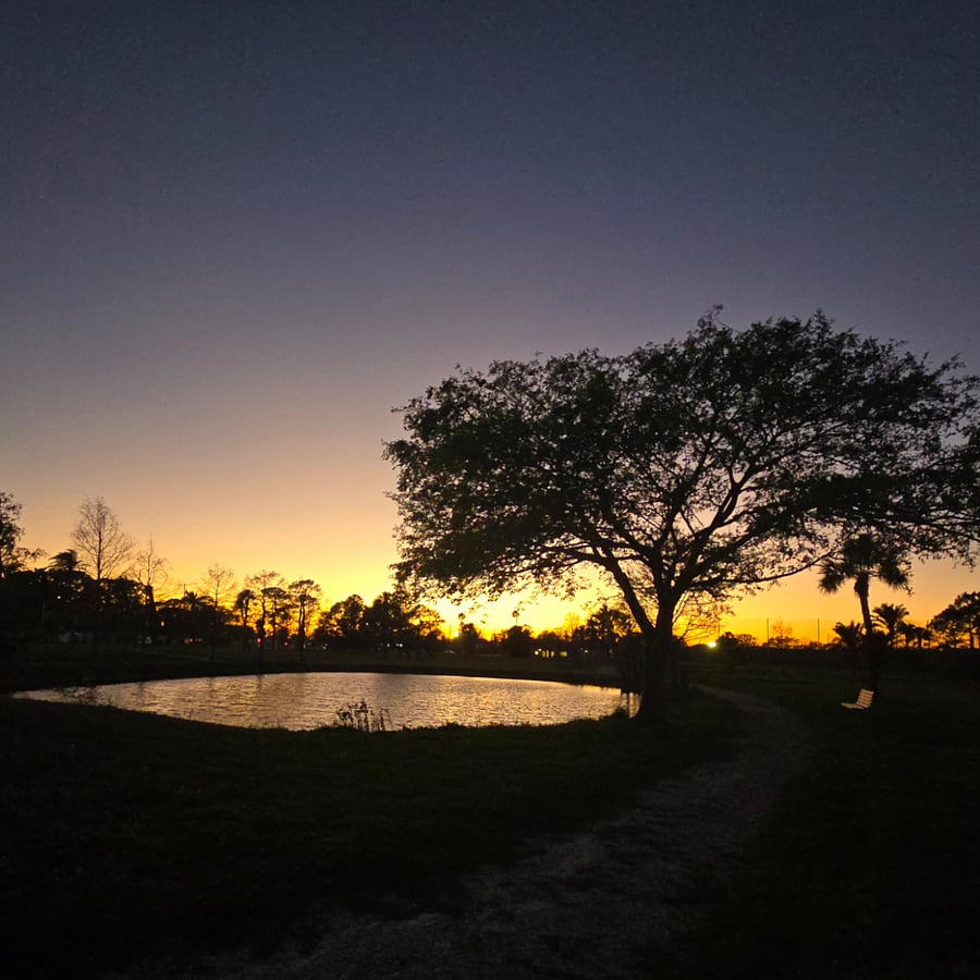 Backyard view.