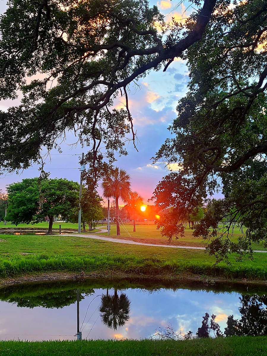 Backyard view.