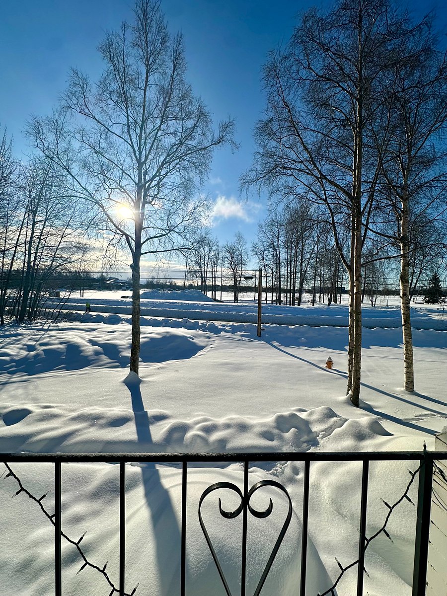 Beautiful winter sun and views from the upstairs balcony.