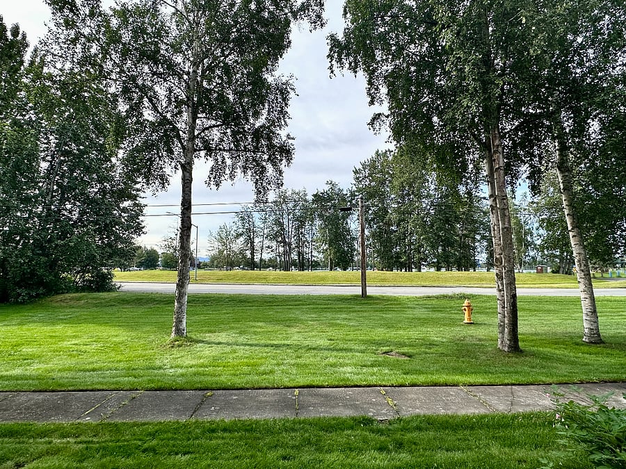 Greenspace and view of Lake Hood. Road pictured is Lakeshore Drive.