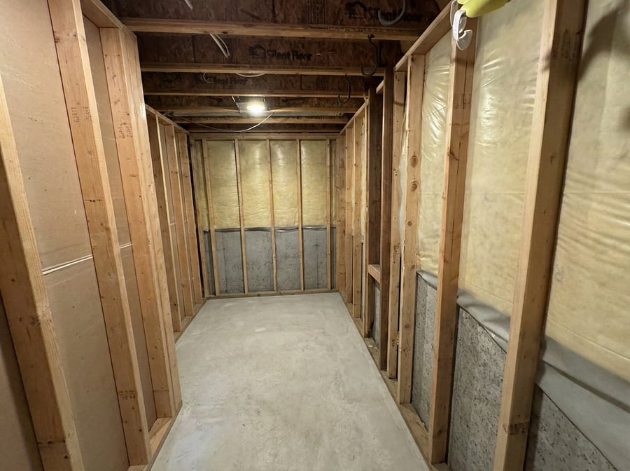Downstairs Storage