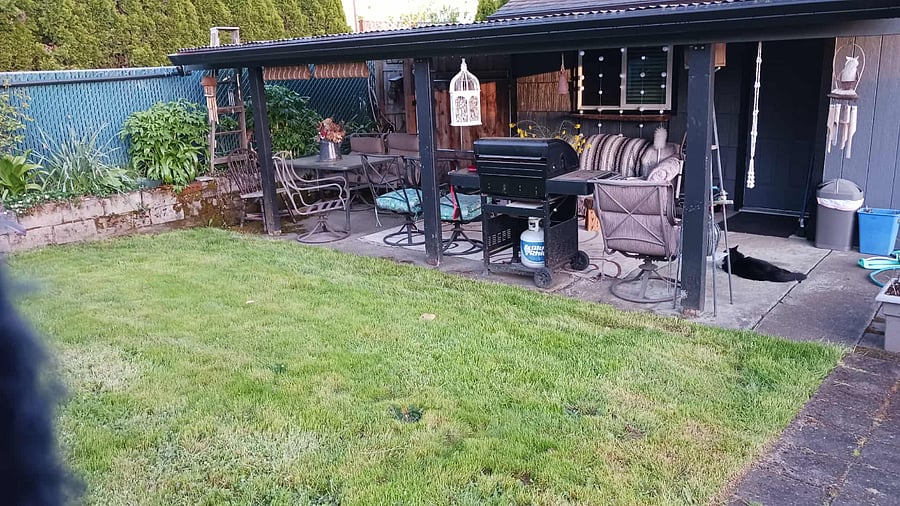 Back porch, BBQ, patio furniture