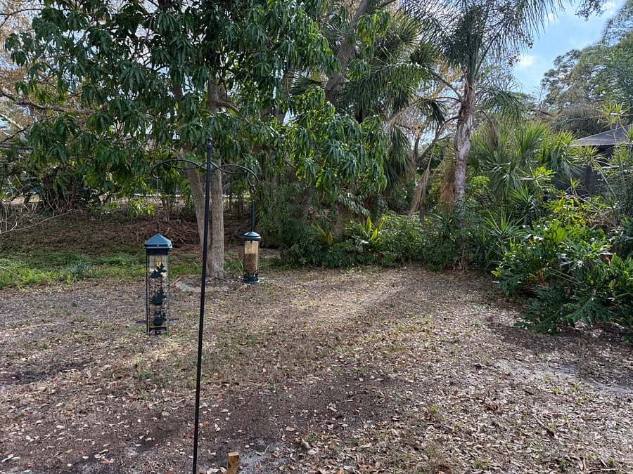 Furnished Finder property 966070_1 photo 17